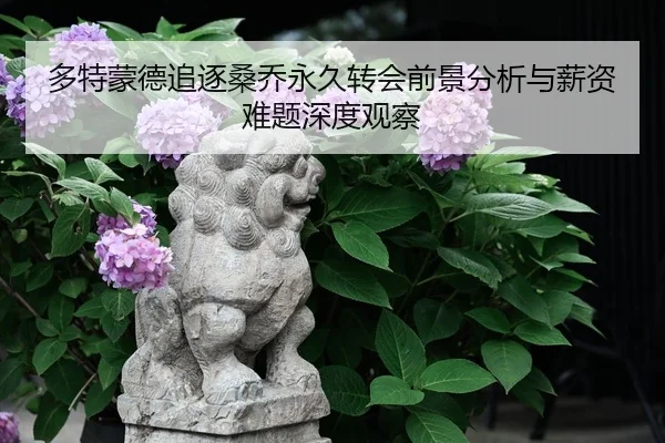 多特蒙德追逐桑乔永久转会前景分析与薪资难题深度观察（kaiyun）